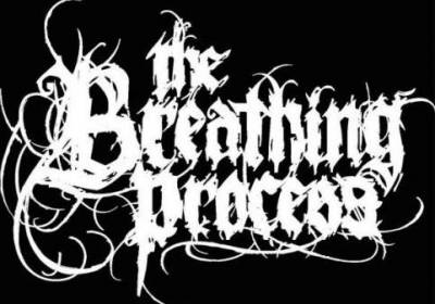 THE BREATHING PROCESS